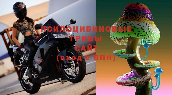 дживик Абинск