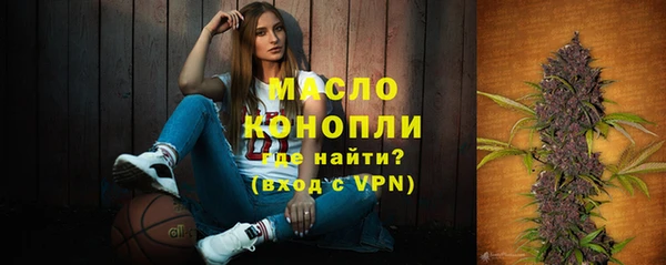 дживик Абинск